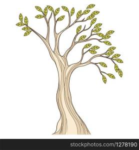 Stylized tree illustration