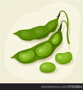 Stylized vector illustration of fresh ripe bean pods.