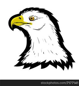 Stylized White American North Bald Eagle Head Tattoo Design. Logo Prey Bird Isolated on White Background. Predator Hawk Mascot. Symbol of Freedom.. Stylized White American North Bald Eagle Head Tattoo Design. Logo Prey Bird. Predator Hawk Mascot. Symbol of Freedom.