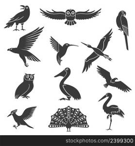 Stylized wild and exotic birds silhouettes black icons collection with pelican soaring eagle and peacock isolated vector illustration . Stylized Birds Silhouettes Black Icons Set