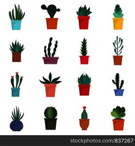 Succulent and cactus flowers plant floral icons set. Flat illustration of 16 succulent and cactus flowers plant floral vector icons for web. Succulent and cactus flowers icons set, flat style