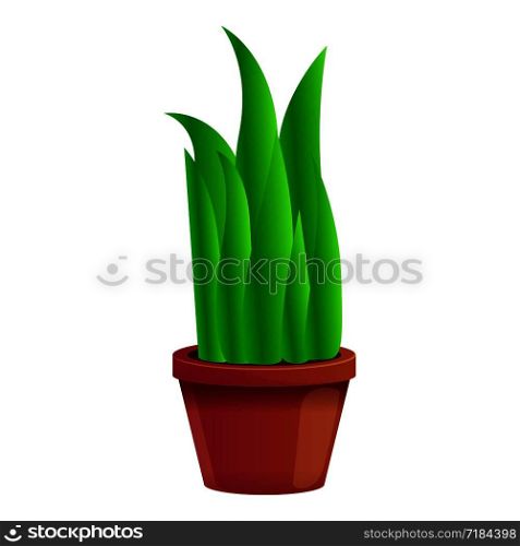 Succulent flowerpot icon. Cartoon of succulent flowerpot vector icon for web design isolated on white background. Succulent flowerpot icon, cartoon style