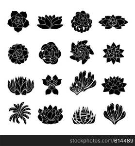 Succulent icons set. Simple set of succulent vector icons for web design on white background. Succulent icons set, simple style
