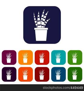 Succulent icons set vector illustration in flat style In colors red, blue, green and other. Succulent icons set flat