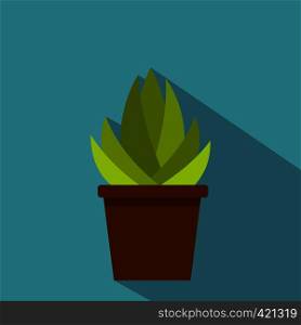 Succulent in flower pot icon. Flat illustration of succulent in flower pot vector icon for web isolated on baby blue background. Succulent in flower pot icon, flat style