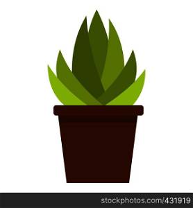 Succulent in flower pot icon flat isolated on white background vector illustration. Succulent in flower pot icon isolated
