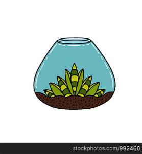 Succulent in glass container. Sticker design with green succulent plant. Interior nature print. Succulent in glass container. Sticker design with green succulent plant. Interior nature print.