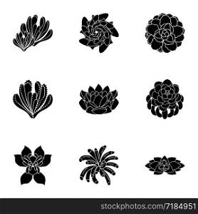 Succulent plant icon set. Simple set of 9 succulent plant vector icons for web design isolated on white background. Succulent plant icon set, simple style