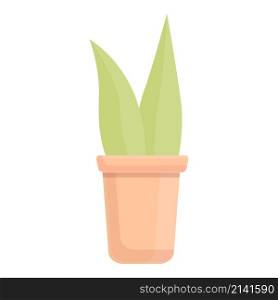 Succulent plant pot icon cartoon vector. Office flower. Indoor house. Succulent plant pot icon cartoon vector. Office flower