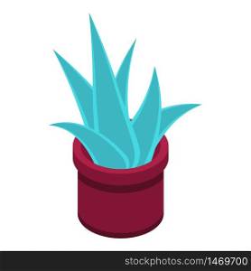 Succulent pot icon. Isometric of succulent pot vector icon for web design isolated on white background. Succulent pot icon, isometric style