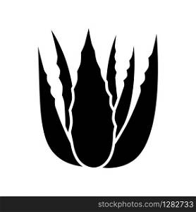 Succulent sprouts black glyph icon. Growing aloe vera. Cactus leafs and medicinal herb. Decorative plant. Ingredient for vegan cosmetic. Silhouette symbol on white space. Vector isolated illustration