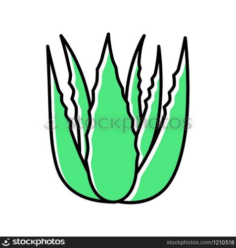 Succulent sprouts green color icon. Growing aloe vera. Cactus leafs and medicinal herb. Decorative plant. Botanics, flora. Ingredient for vegan cosmetic. Isolated vector illustration