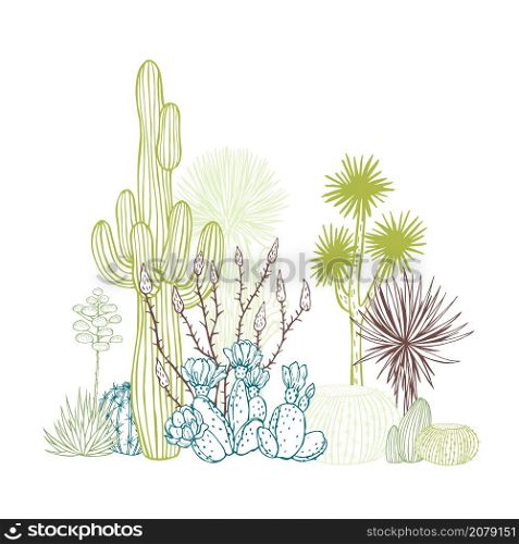 Succulents and cacti. Desert plants. Vector sketch illustration.. Desert plants, cacti. Vector background.