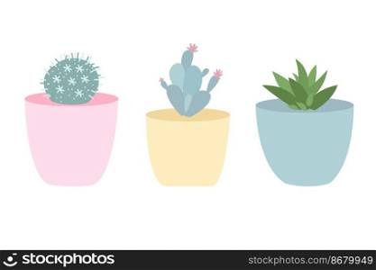 Succulents and cacti in pots. Home gardening and growing houseplants. Home interior decor elements