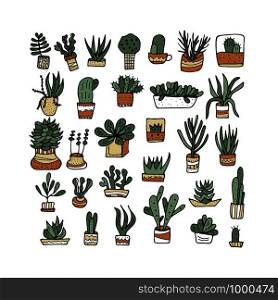 Succulents in doodle style. Set of house plants. Poster, banner, greeting card, print isolated elements. Vector color illustration.