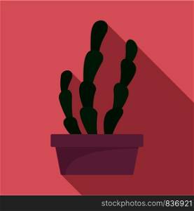 Suculent cactus pot icon. Flat illustration of suculent cactus pot vector icon for web design. Suculent cactus pot icon, flat style