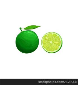 Sudachi fruit, exotic Japanese citrus fruits and tropical food vector isolated icon. Sudachi fruit half cut and whole, tropic farm fruits harvest. Sudachi fruit, exotic Japanese citrus fruits