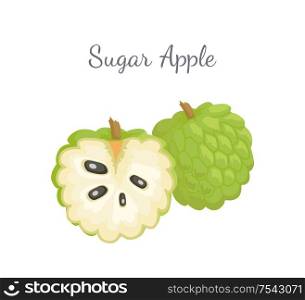 Sugar-apple, sweetsop, or custard apple, Annona squamosa, exotic juicy fruit whole and cut vector isolated. Tropical edible food, dieting vegetarian icon. Sugar-Apple, Sweetsop Custard Apple Isolated Icon