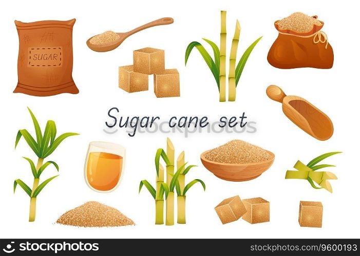 Sugar cane 3d realistic set. Bundle of bags, sugar cubes, granular sweetener on spoon or plate, sugarcane leaf plants, rum alcoholic liquid in glass and other isolated elements.Vector illustration. Sugar cane 3d realistic set. Vector illustration isolated elements