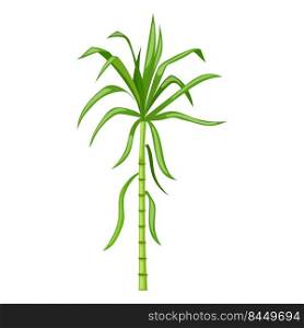 sugar cane cartoon. plant sugarcane, leaf plantation, green raw, field sugar cane vector illustration. sugar cane cartoon vector illustration