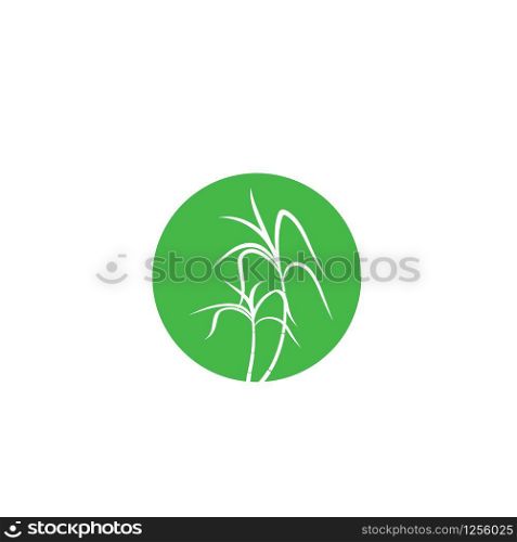 Sugar cane icon Vector Illustration design Logo template