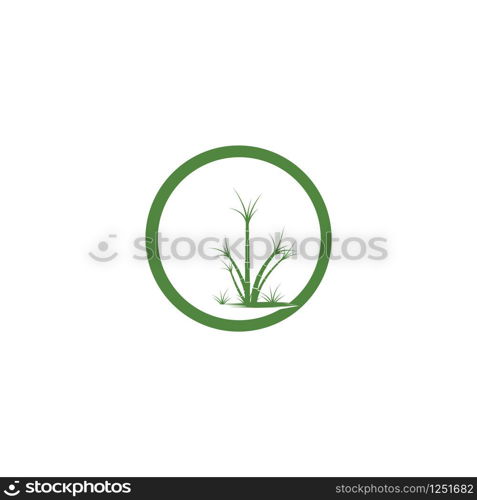 Sugar cane Logo Template vector symbol nature