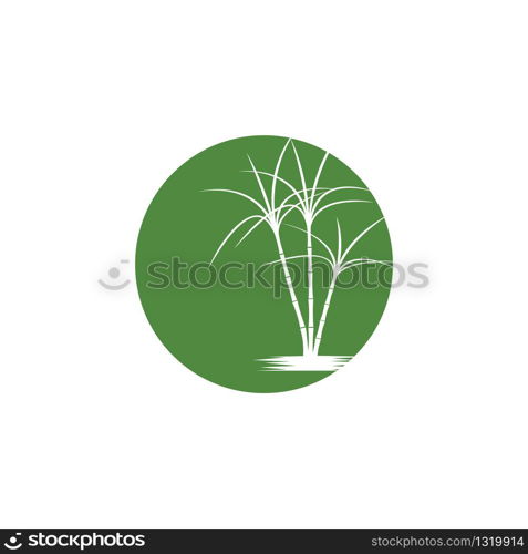 Sugar cane Logo Template vector symbol nature