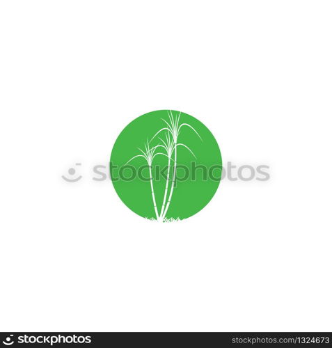 Sugar cane Logo Template vector symbol nature