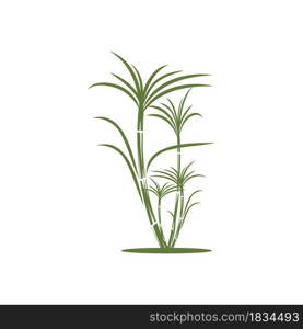 Sugar cane Logo Template vector symbol nature