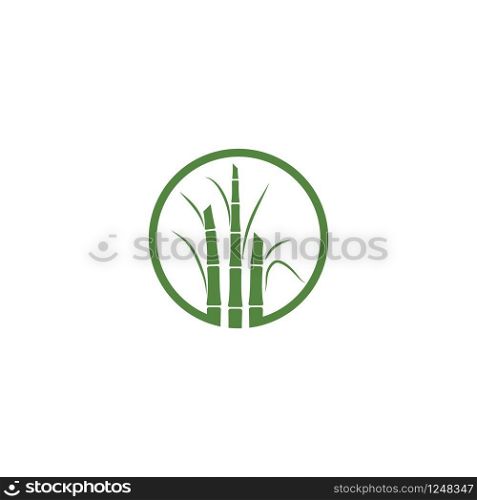 Sugar cane plant logo vector illustration design