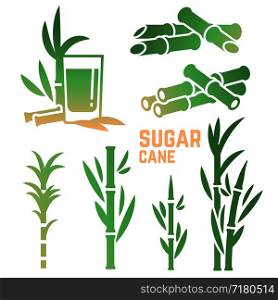 Sugar cane silhouettes icons of collection isolated on white background. Vector illustration. Sugar cane silhouettes icons isolated on white background
