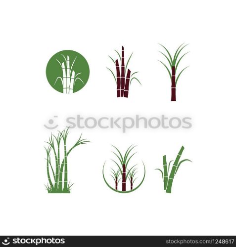 Sugar cane tree logo vector illustration design