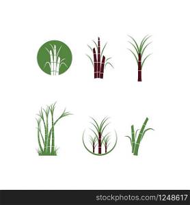 Sugar cane tree logo vector illustration design