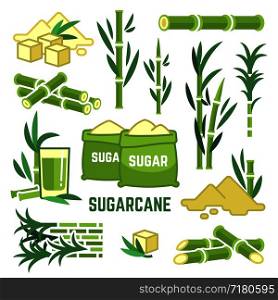 Sugar plant agricultural crops, cane leaf, sugarcane juice vector icons. Sugar cane, sweet plant, natural green stem illustration. Sugar plant agricultural crops, cane leaf, sugarcane juice vector icons