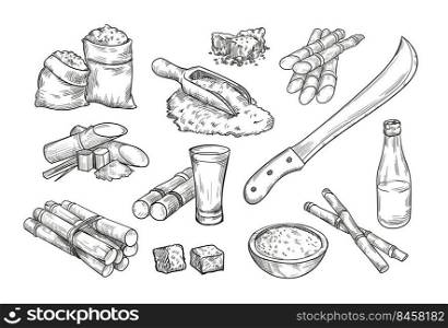 Sugarcane farm elements isolated hand drawn vector illustration collection. Engraved sugar cane, rum bottle, raw sugar and sweet liquor retro sketch. Alcohol drink and sugarcane concept