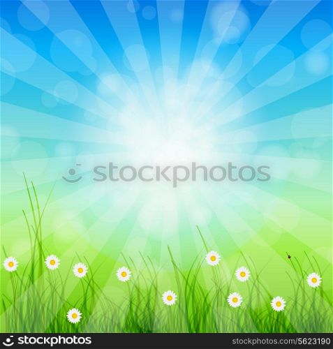 Summer Abstract Background with grass and chamomile against sunny sky. Vector illustration.