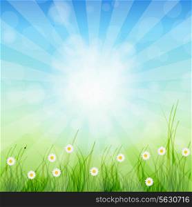 Summer Abstract Background with grass and chamomile against sunny sky. Vector illustration.