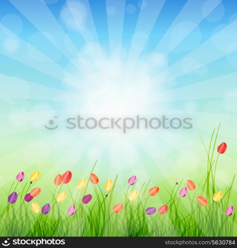 Summer Abstract Background with grass and tulips against sunny sky. Vector illustration.