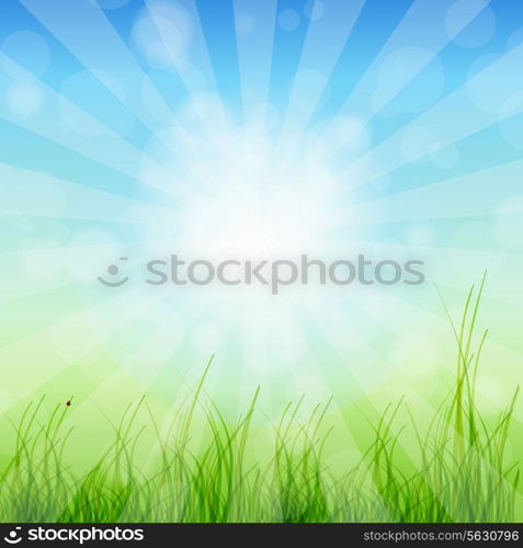 Summer Abstract Background with grass and tulips against sunny sky. Vector illustration.