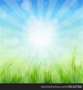 Summer Abstract Background with grass and tulips against sunny sky. Vector illustration.