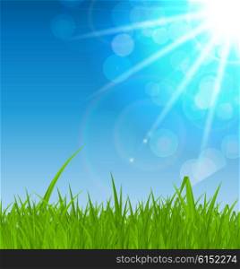 Summer Abstract Background with Grass. Vector Illustration. EPS10. Summer Abstract Background with Grass. Vector Illustration
