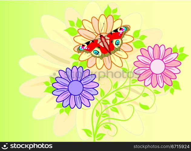Summer background, vector