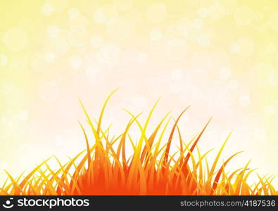 summer background vector illustration