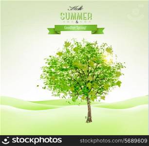 Summer background with a green tree. Vector.