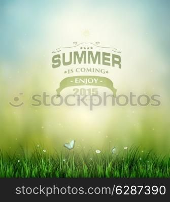 Summer Background With Grass, Flower And Butterflies And Title Inscription