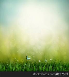 Summer Background With Grass, Flower And Butterfly