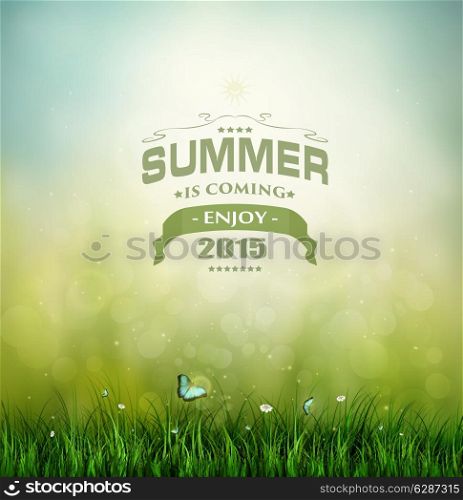 Summer Background With Grass, Flower And Butterfly And Title Inscription