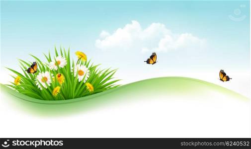 Summer background with grass, flowers and butterflies. Vector.