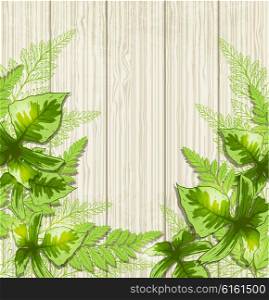 Summer background with green tropical leaves. Vector illustration.