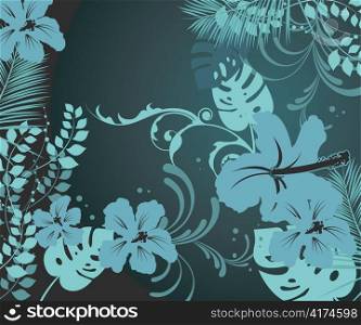 summer background with hibiscus vector illustration
